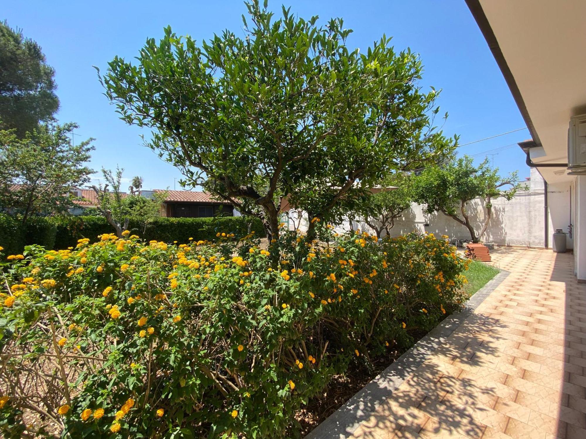A Casa Di Alfredo Depandance In Villa Lecce Buitenkant foto